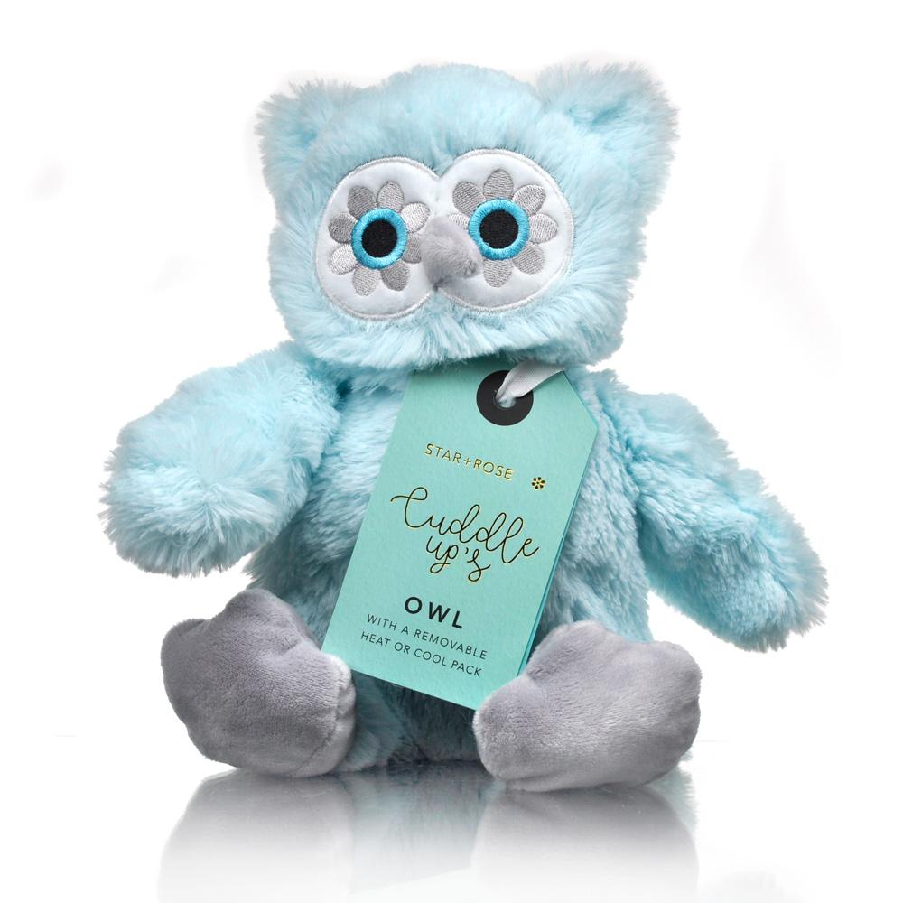 stuffed animal with removable heat pack