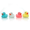 Glow in the dark ducks (Display of 24) - Click for more info