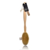 Natural Bristle Back Brush - Click for more info